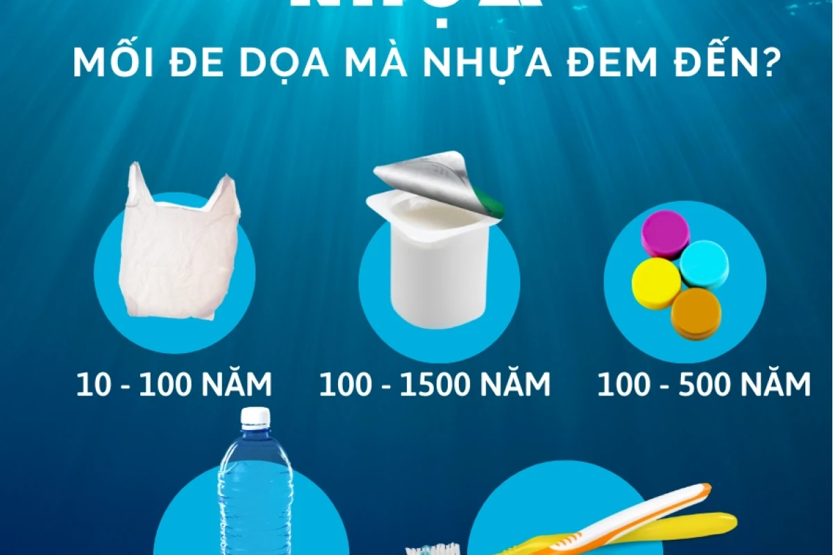 Rác Thải Nhựa Là Gì? Hiểu Rõ Vấn Đề Và Giải Pháp Toàn Diện Năm 2026