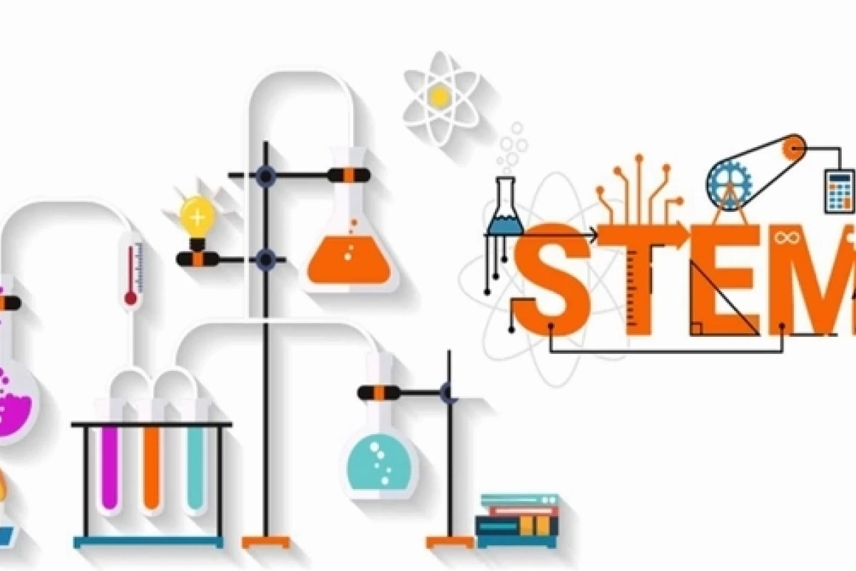 STEM Tiếng Anh Là Gì? Ứng Dụng và Lợi Ích Trong Giảng Dạy