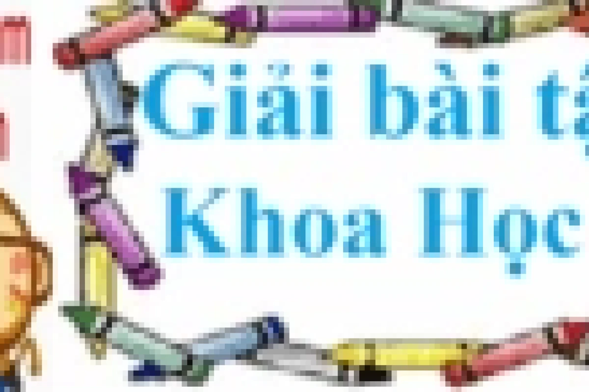 Tại sao lại có gió những nguyên nhân cơ bản và các loại gió chính