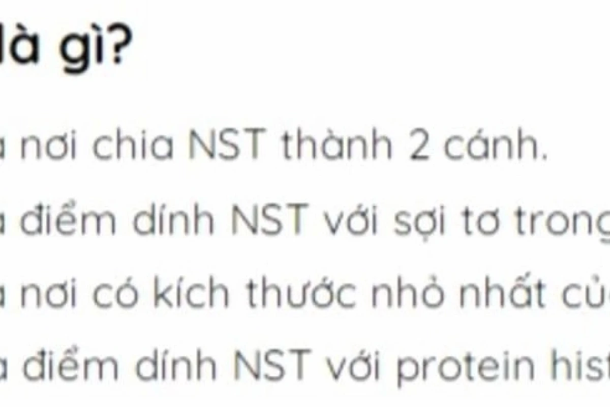 Tâm động là gì? Khám phá vai trò và cấu tạo trong tế bào
