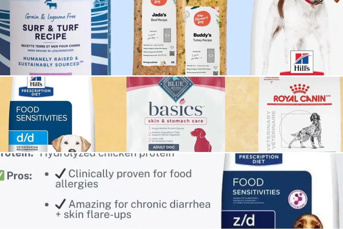 Best hypoallergenic dog food for sensitive pups in 2026