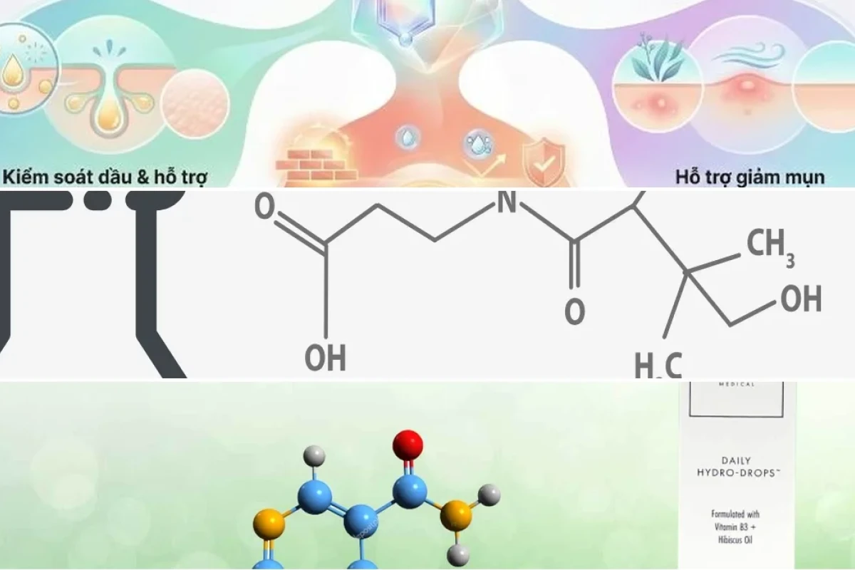Cơ chế Hoạt động của Niacinamide trong Chăm sóc Da Chuyên sâu