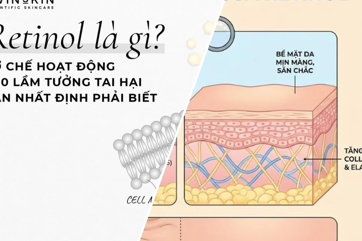 Cơ Chế Hoạt Động Của Retinol Trong Mỹ Phẩm