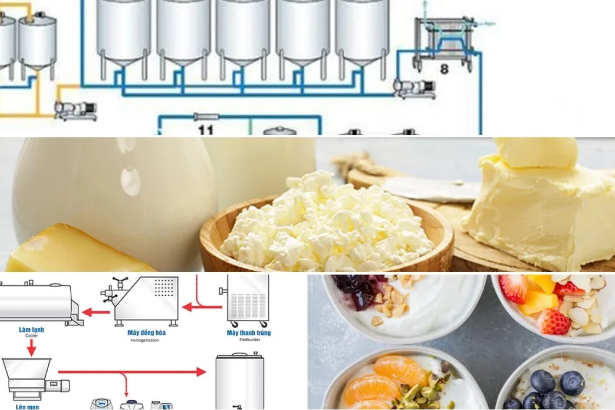 Cơ chế Lên Men Sữa Chua Hiểu Sâu Vào Quy Trình Sinh Học