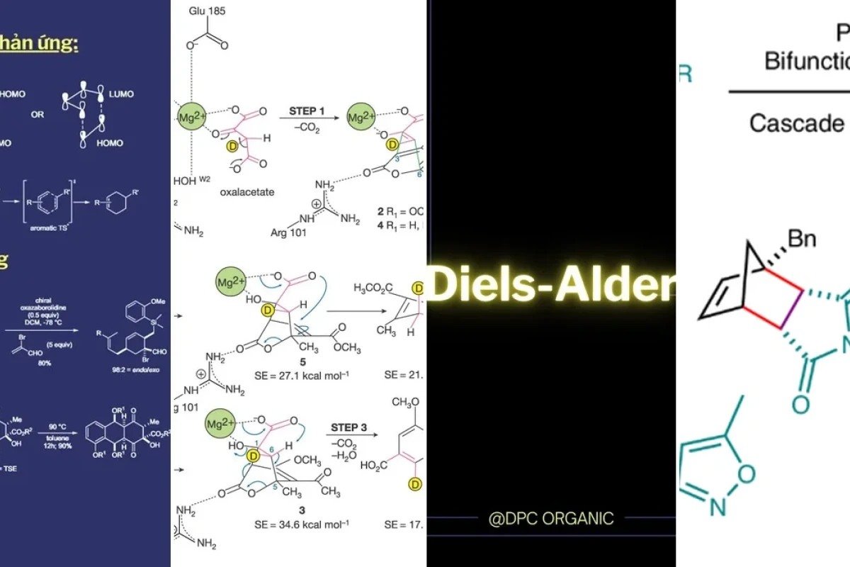 Phản ứng Diels-Alder Nền Tảng Tổng Hợp Hữu Cơ Hiện Đại