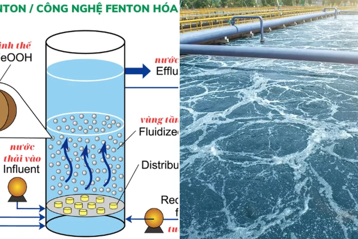 Phản ứng Fenton Oxy hóa Nâng cao Xử lý Nước Thải