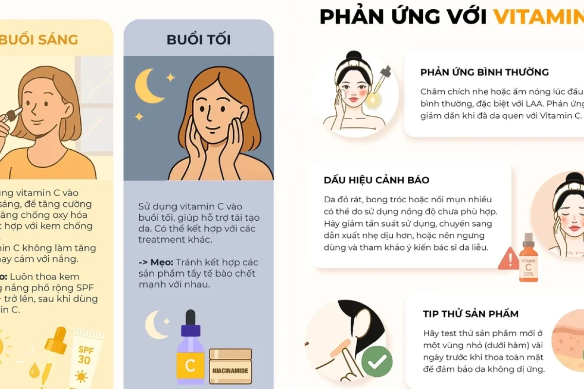 Vitamin C Dạng Nào Dễ Hấp Thu Và Cơ Chế Hoạt Động Mỹ Phẩm