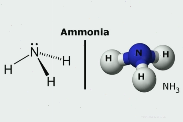 Amoniac lỏng được ứng dụng rộng rãi trong sản xuất và đời sống