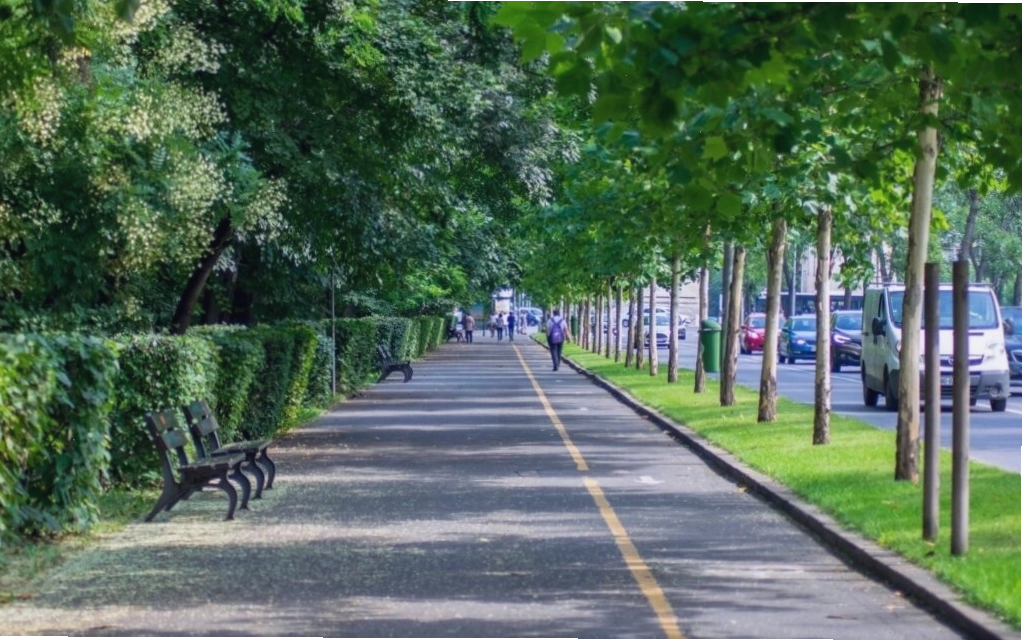 Bầu trời đầy sao lung linh huyền ảo, thích hợp cho các thiết kế mang tính khám phá.