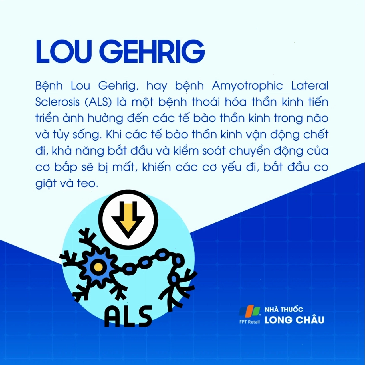 Biểu đồ cho thấy tỷ lệ các yếu tố ảnh hưởng đến bệnh ALS