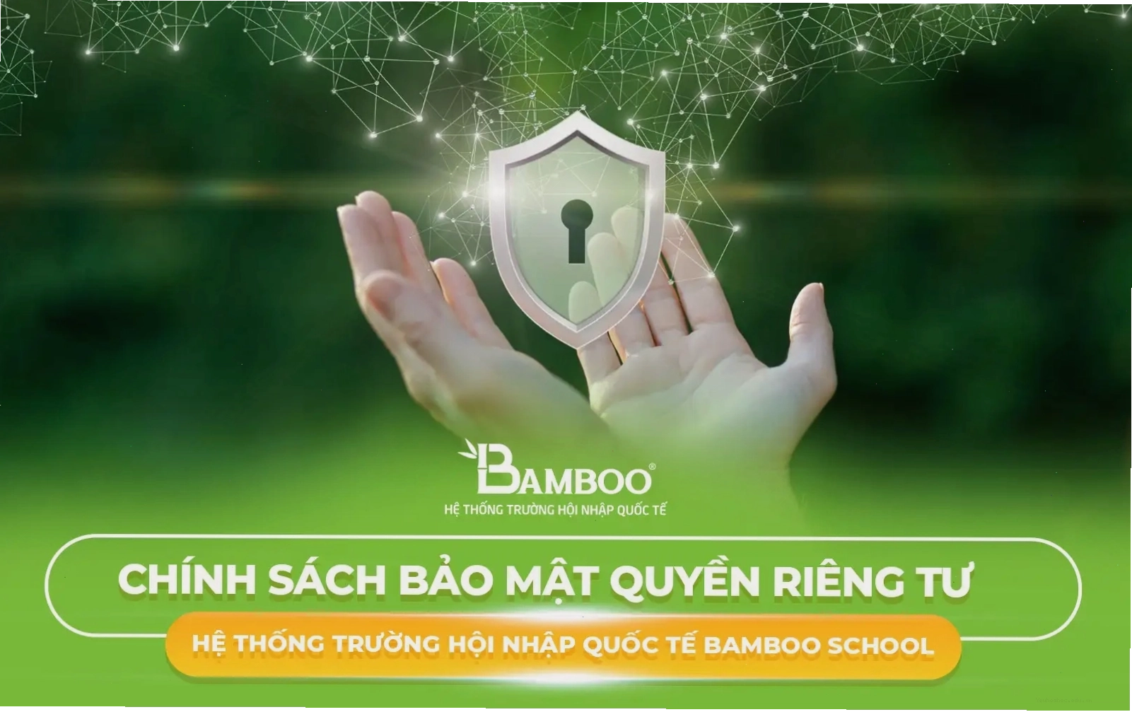 Biểu đồ minh họa các bước xác định công thức phân tử từ dữ liệu thực nghiệm