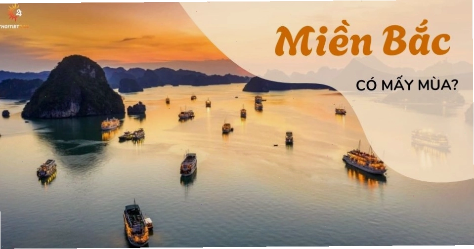 Biểu đồ minh họa sự phân bố nhiệt độ và lượng mưa theo mùa tại miền Bắc Việt Nam