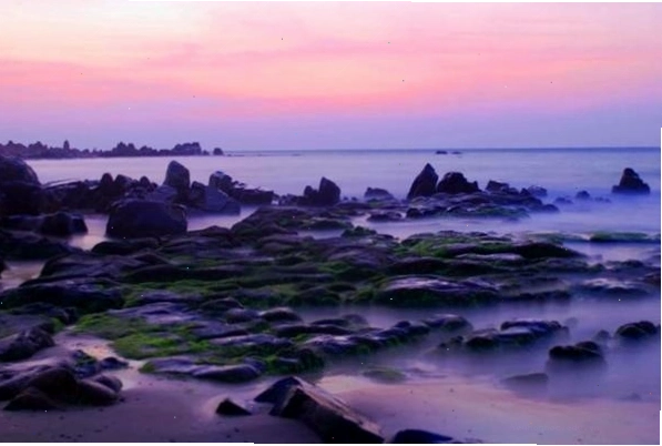 Bình minh tại Bãi rêu Cổ Thạch, Bình Thuận