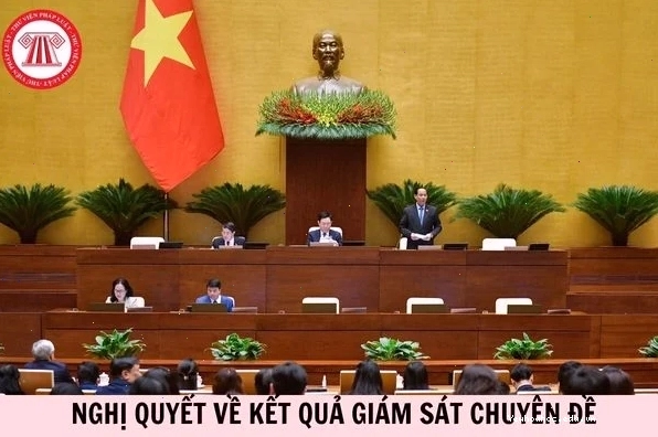 Cá bơi trong môi trường nước sạch