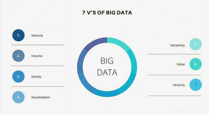 Các đặc điểm cốt lõi của Big Data bao gồm Volume, Velocity, Variety, Veracity và Value