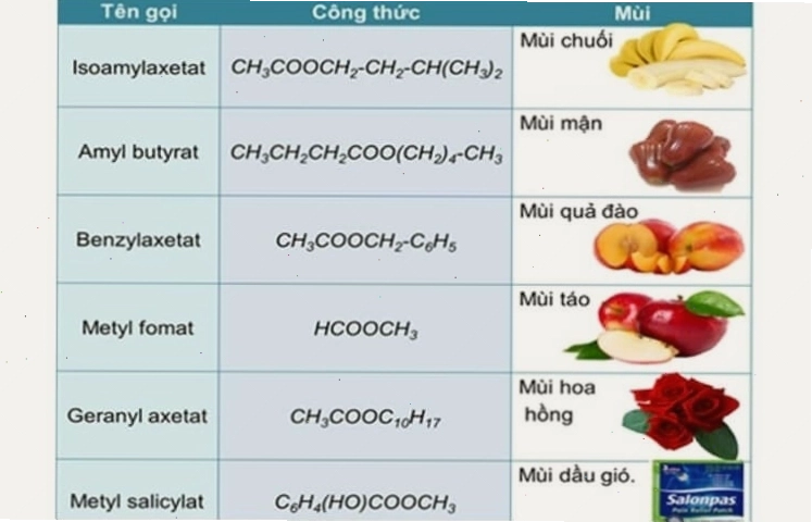 Các loại este và mùi hương đặc trưng