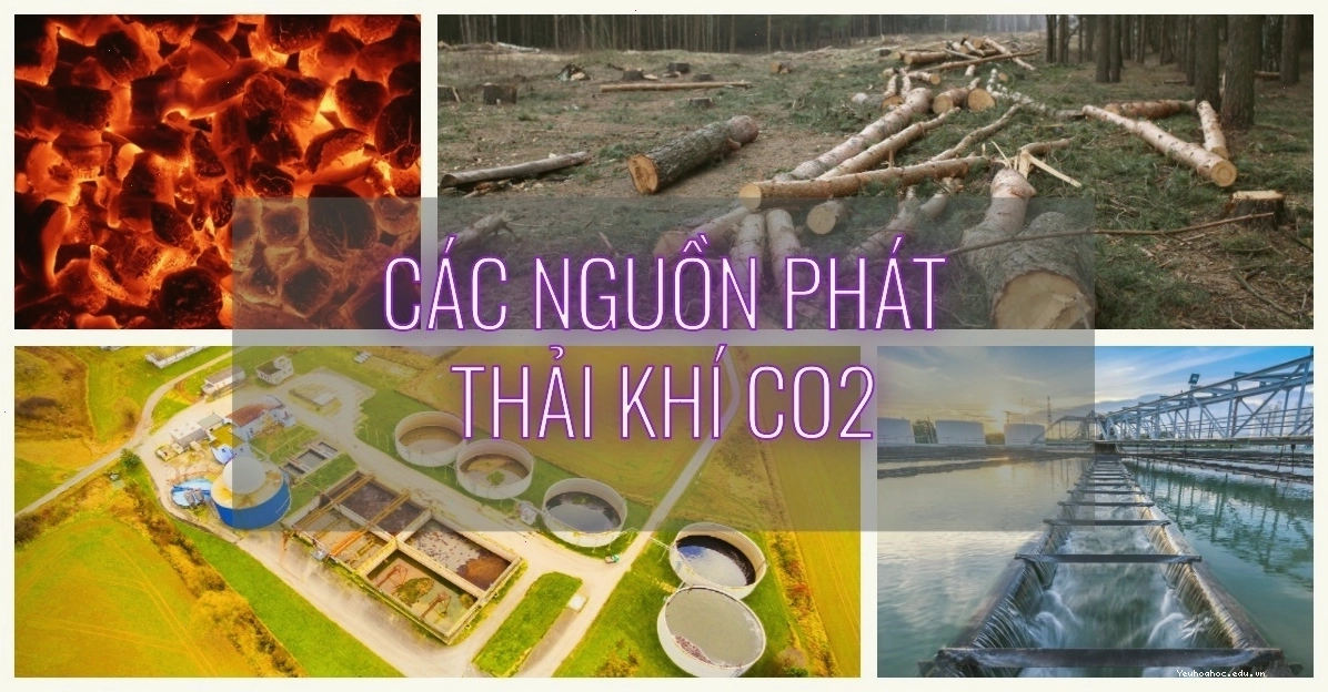 Các nguồn phát thải khí CO2 từ hoạt động công nghiệp và đốt nhiên liệu hóa thạch