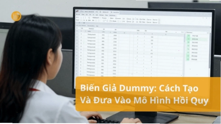 Cách tạo và sử dụng biến giả trong mô hình hồi quy