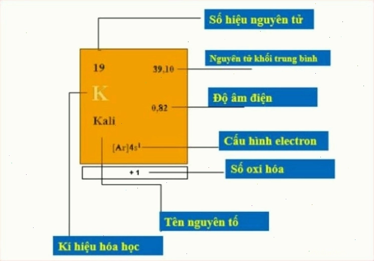 Cách xem bảng tuần hoàn hóa học