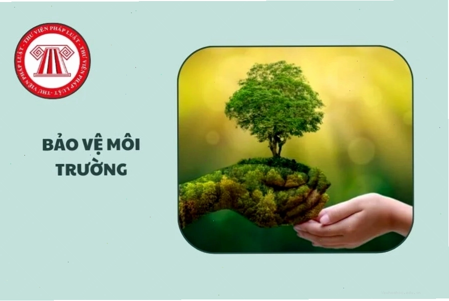 Cảnh báo về ô nhiễm rác thải nhựa trên biển