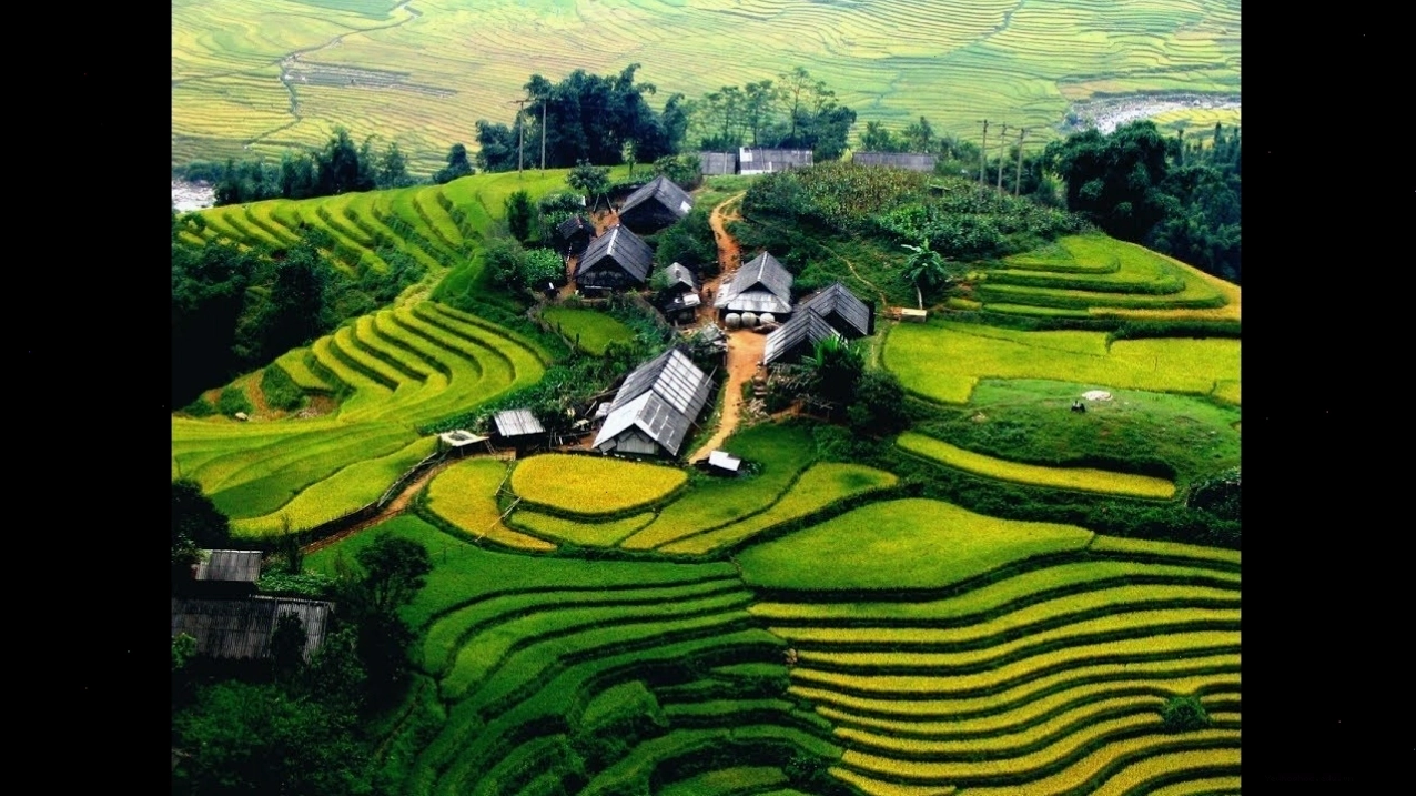 Cảnh đẹp trải dài từ Bắc chí Nam Việt Nam