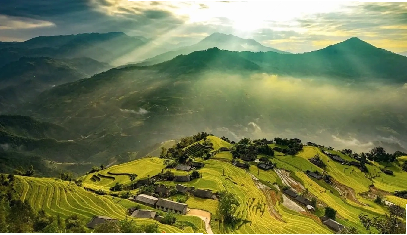 Cánh đồng lúa bậc thang vàng rực rỡ tại Su Phì, Hà Giang vào mùa gặt