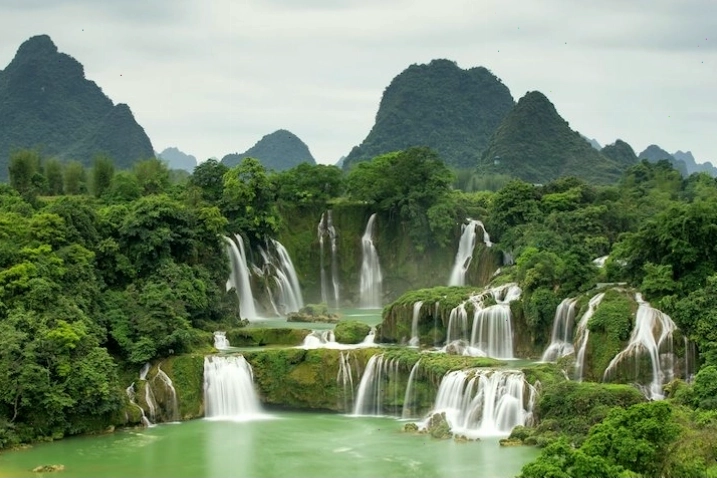 Cánh đồng lúa chín vàng rực rỡ dưới ánh nắng, mang đậm vẻ đẹp của ảnh quê hương Việt Nam.