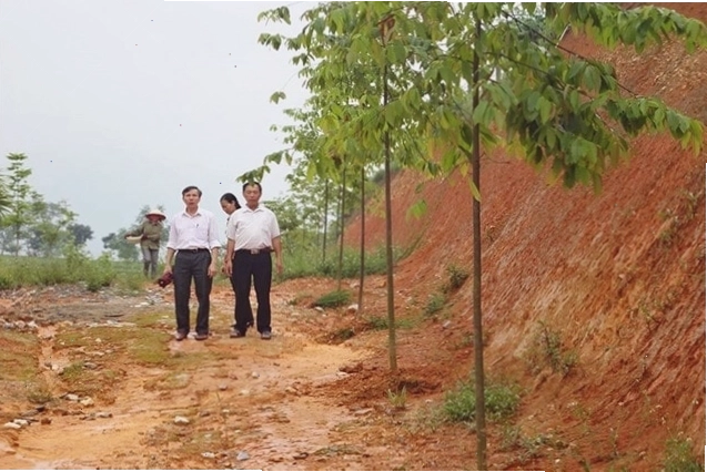Cánh đồng trồng cây công nghiệp trên nền đất Feralit màu đỏ vàng