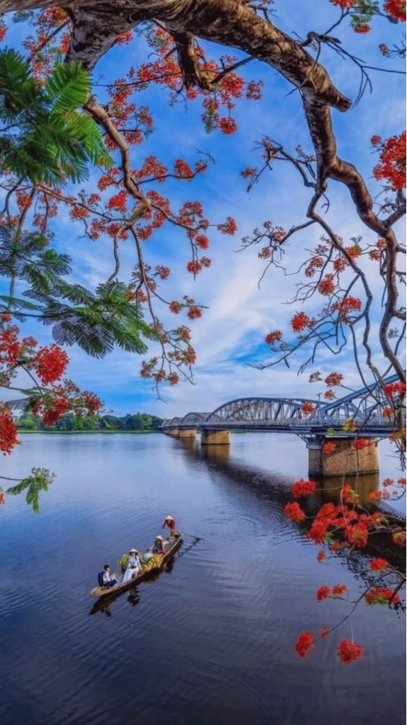 Cành hoa đỏ bên mặt hồ sông Hương tĩnh lặng chiều thu