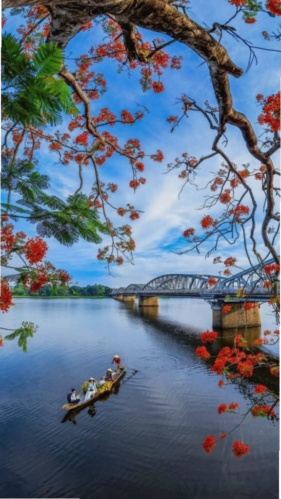 Cành hoa đỏ bên mặt hồ sông Hương tĩnh lặng chiều thu là một bức ảnh phong cảnh đẹp