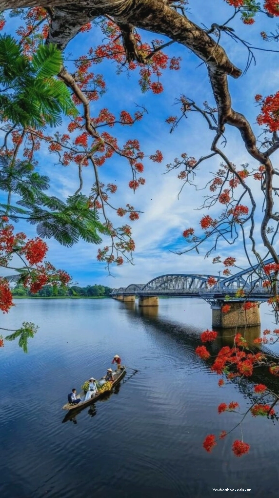 Cành hoa đỏ bên mặt hồ sông Hương tĩnh lặng vào buổi chiều thu