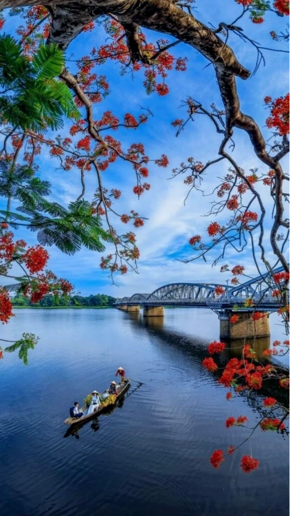 Cành hoa đỏ bên mặt hồ tĩnh lặng