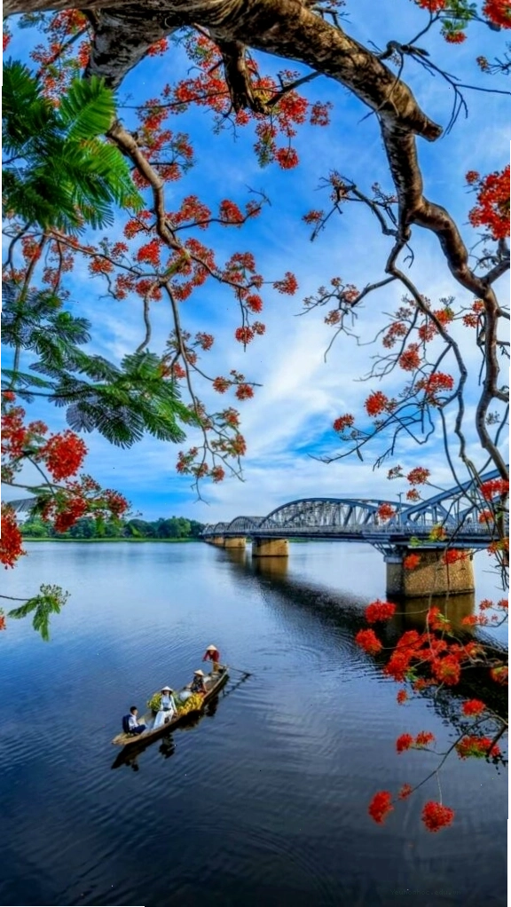 Cành hoa đỏ bên mặt hồ yên tĩnh dưới ánh chiều thu