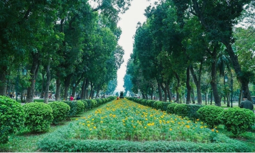 Cảnh quan rừng nguyên sinh với nhiều loại cây cổ thụ và thảm thực vật phong phú