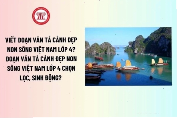 Cảnh quan thiên nhiên với đá và cây cối