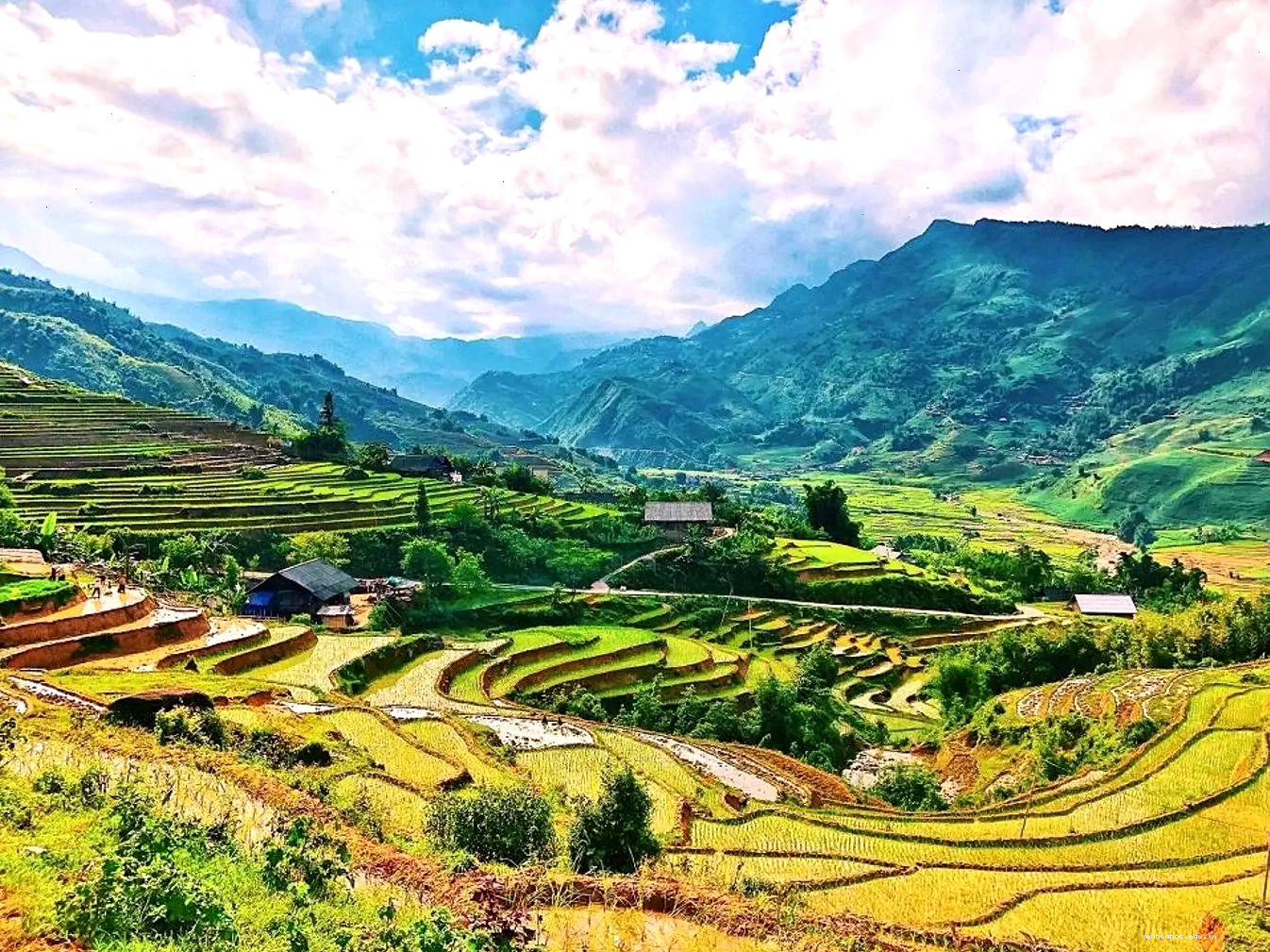 Cảnh sắc quyến rũ của thung lũng Mường Hoa tại Sa Pa