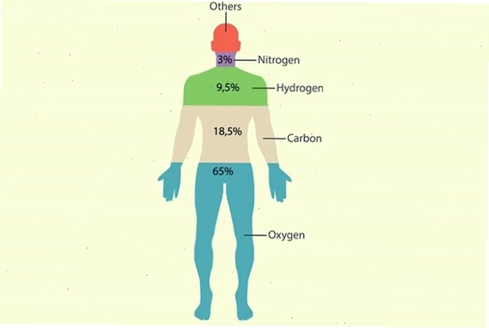 Carbon là thành phần thiết yếu trong các hợp chất hữu cơ của cơ thể người