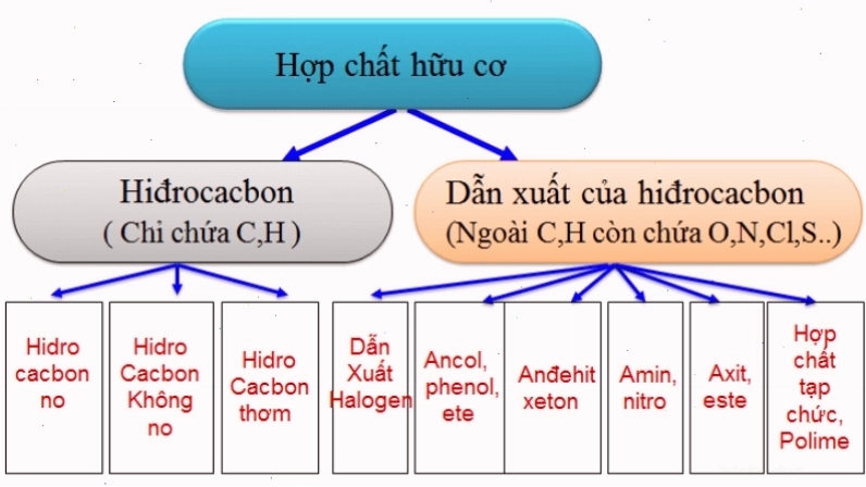 Cấu trúc mạch Carbon trong hợp chất hữu cơ