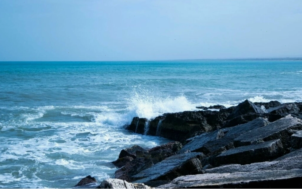 Chó con dễ thương đang ngủ say trên chiếc nệm êm ái.