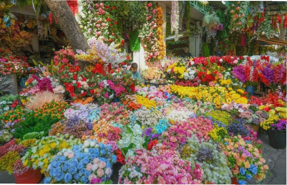 Chợ hoa Quảng Bá ven Hồ Tây rực rỡ sắc màu