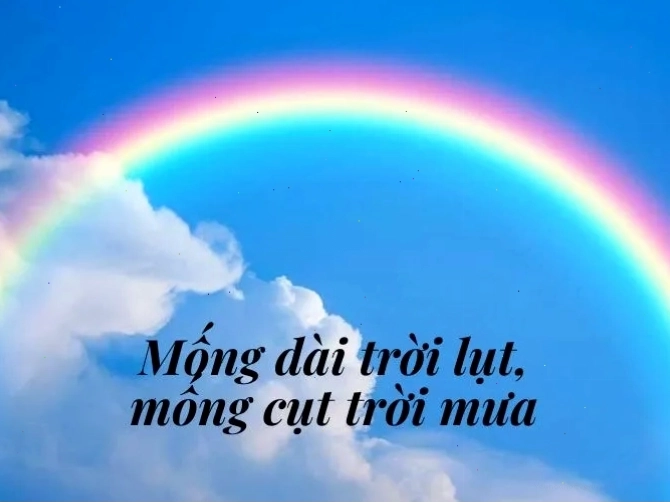 Chuồn chuồn săn mồi gần mặt đất