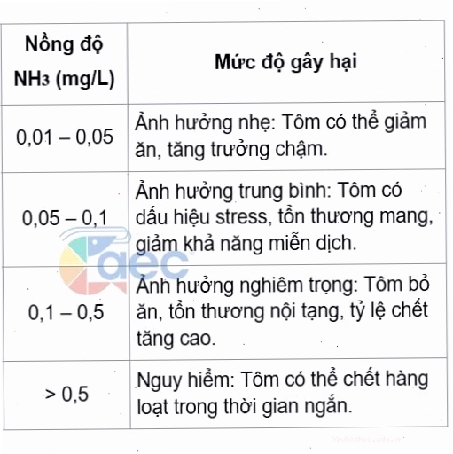 Độc tính NH3 và mức độ gây hại đối với tôm cá