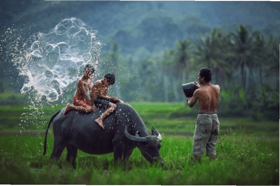 Dòng sông quê êm đềm chảy qua làng mạc