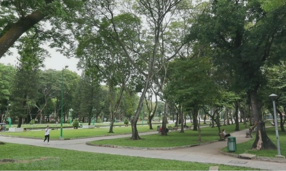Hàng cây xanh mướt bao phủ sườn đồi, thể hiện vai trò phòng hộ