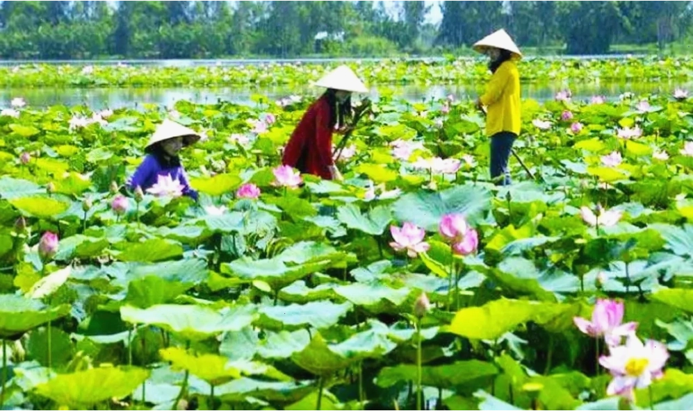 Hệ sinh thái đa dạng tại Khu bảo tồn Láng Sen