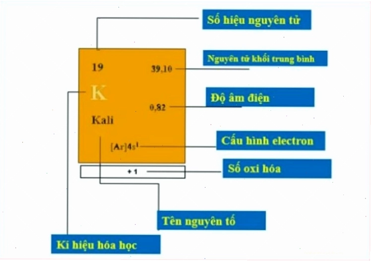 Hình ảnh minh họa ứng dụng của các nguyên tố hóa học trong đời sống