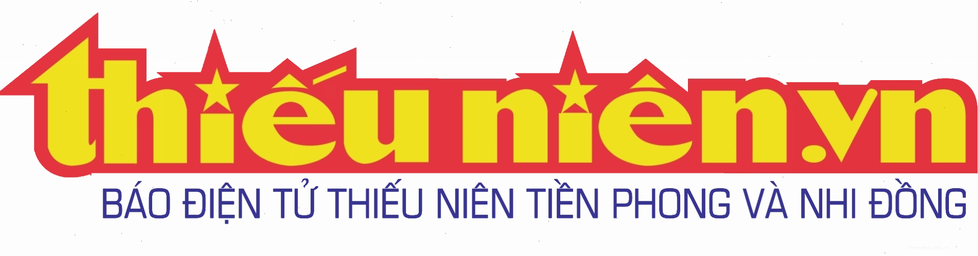 Hình ảnh rừng nguyên sinh với thảm thực vật phong phú, minh chứng cho vai trò của rừng trong việc bảo vệ đất và điều hòa nước