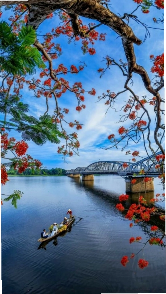 Hình nền cành hoa đỏ bên mặt hồ sông Hương