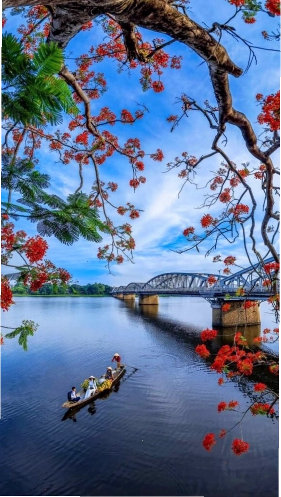 Hình nền điện thoại hoa đỏ bên mặt hồ sông Hương tĩnh lặng