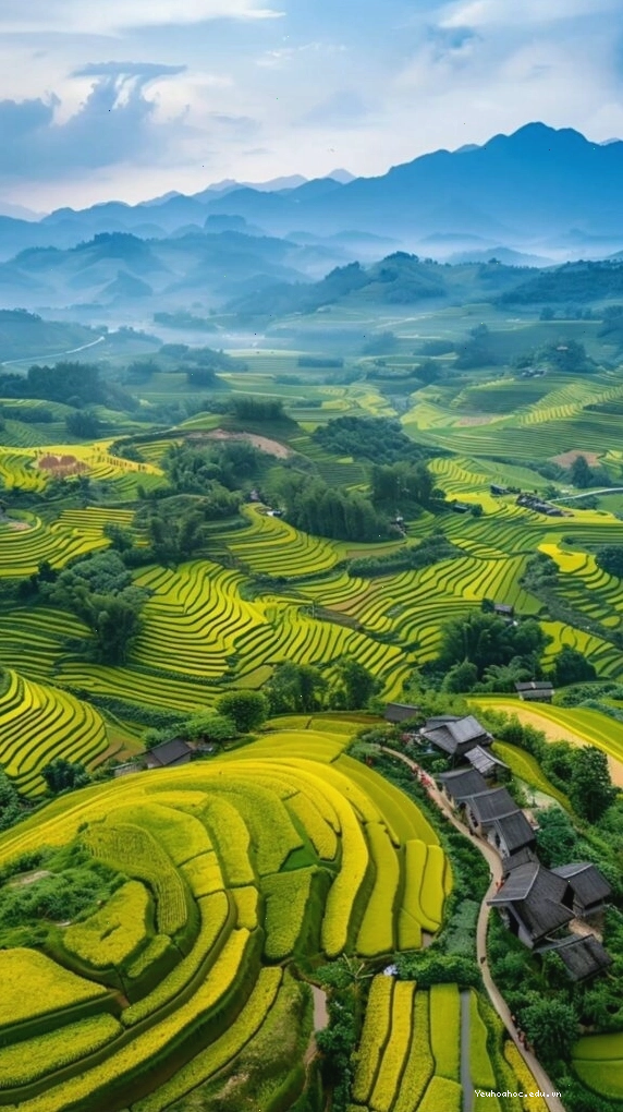 Hình nền máy tính ruộng bậc thang xanh mướt giữa núi rừng trùng điệp